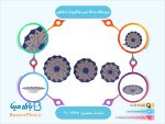 سری بشقاب سه تکه مسی میناکاری اثر اسماعیلی
