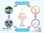 شکلات خوری نقره نما