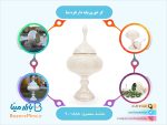 گز خوری پایه دار نقره نما