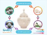 گز خوری دردار نقره نما